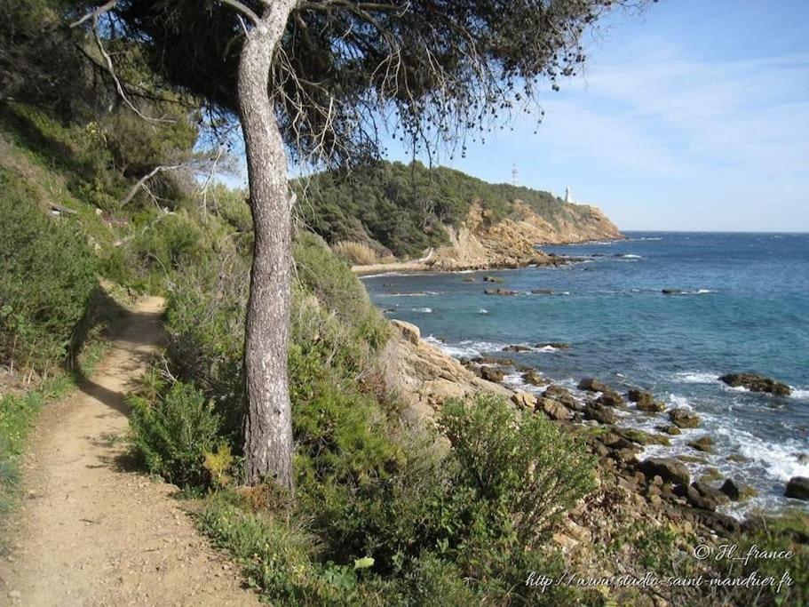 Les Hibiscus Lägenhet Saint-Mandrier-sur-Mer Exteriör bild